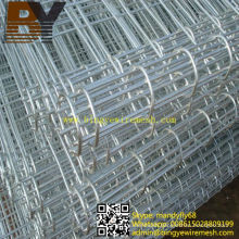 PVC Coated Galvanized Double Circle Wire Fence
